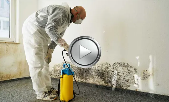CJ&J RESOLUTION mold remediation video